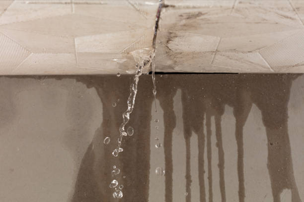 Professional Burst Pipe Cleanup technician working in Beverly, WA